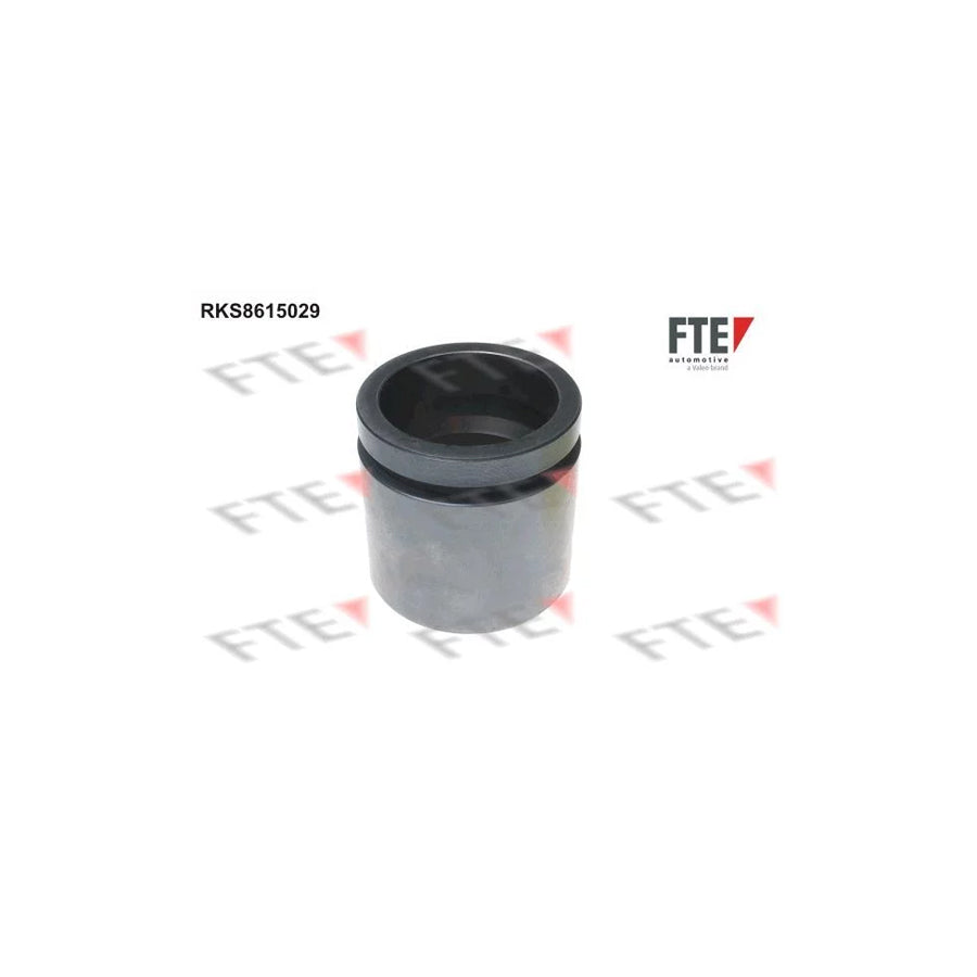 Fte RKS8615029 Piston, Brake Caliper | ML Performance UK Car Parts