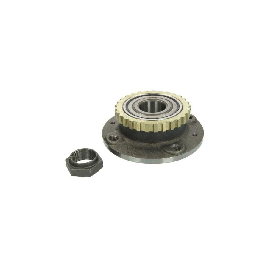 Bta H2C053BTA Wheel Bearing Kit