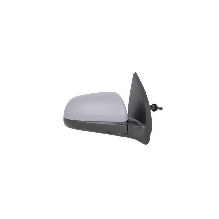 Blic 5402-56-2001066P Wing Mirror