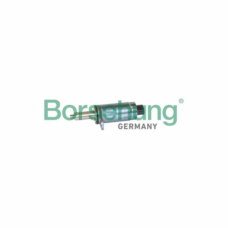 Borsehung B12244 Camshaft Adjuster