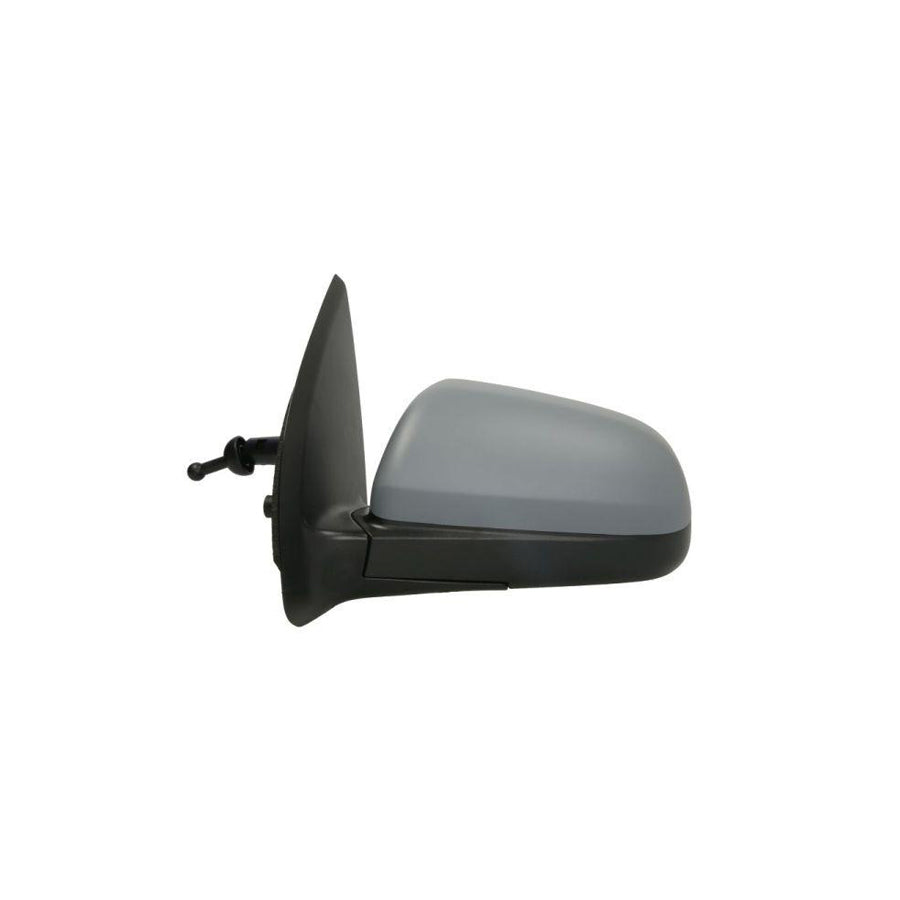 Blic 5402-56-2001065P Wing Mirror