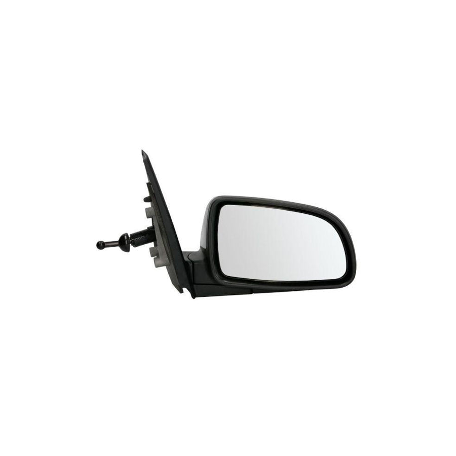 Blic 5402-56-2001064P Wing Mirror