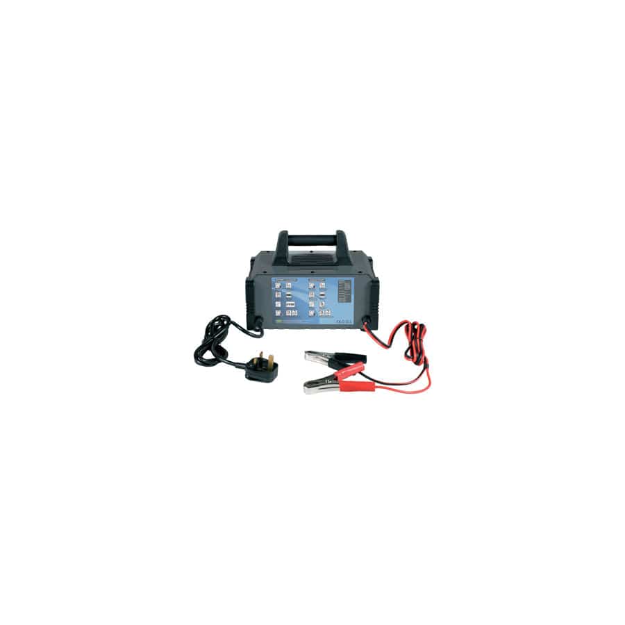 RING RCB320 20A 12V Fully Auto Battery Charger, 80A Engine Start Metal Case | ML Performance