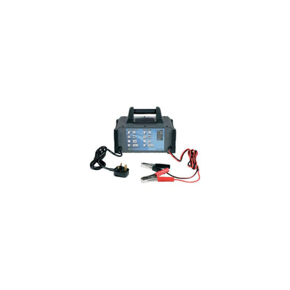 RING RCB320 20A 12V Fully Auto Battery Charger, 80A Engine Start Metal Case | ML Performance