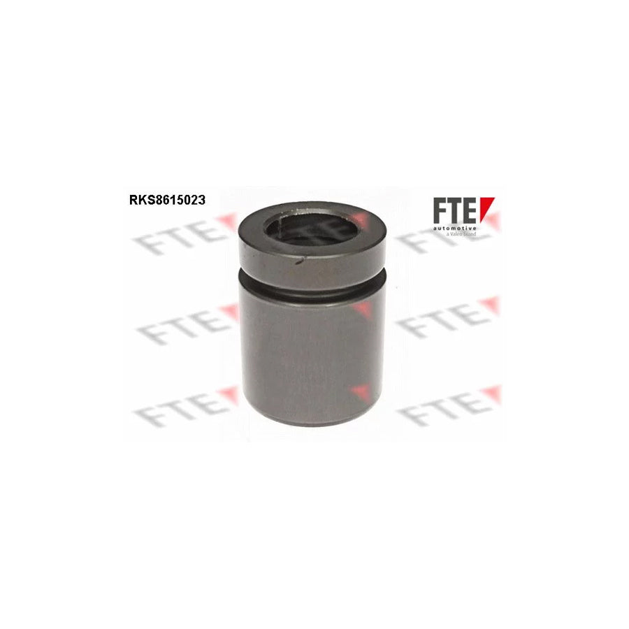 Fte RKS8615023 Piston, Brake Caliper | ML Performance UK Car Parts