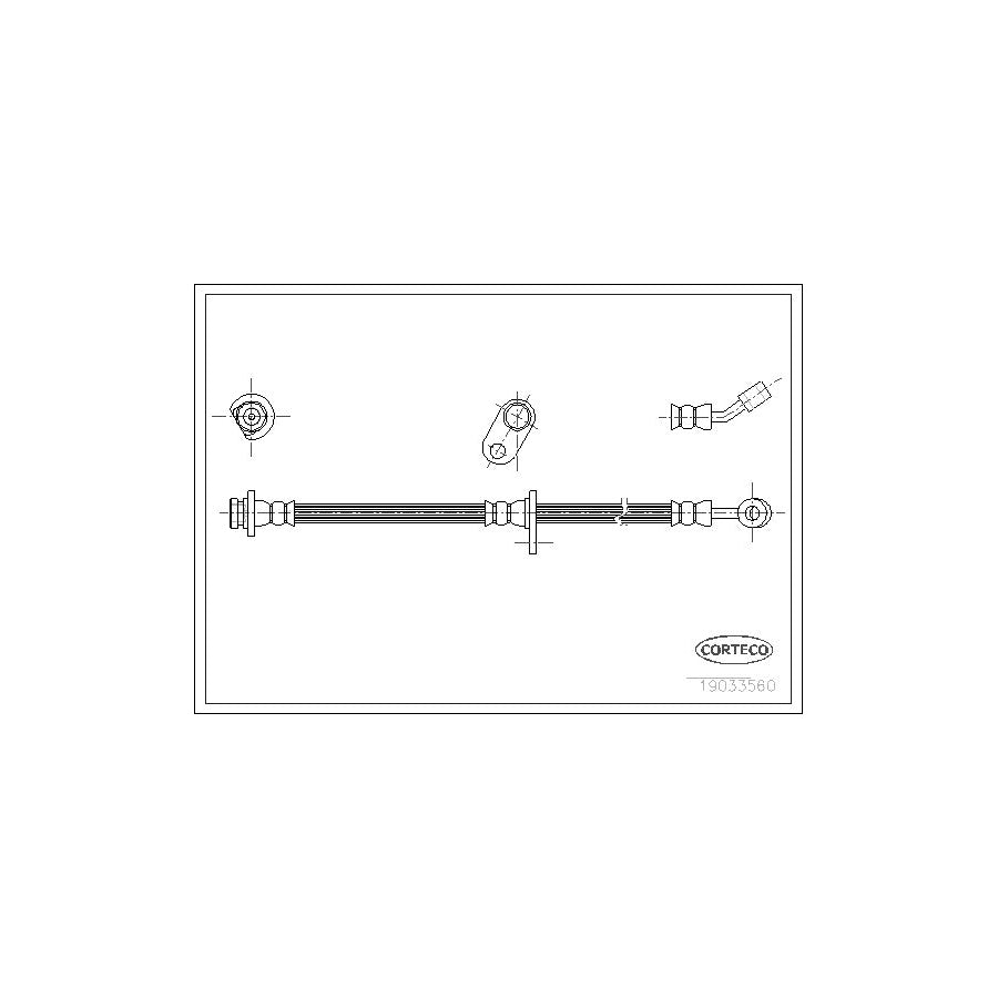 Corteco 19033560 Brake Hose For Honda Accord | ML Performance UK
