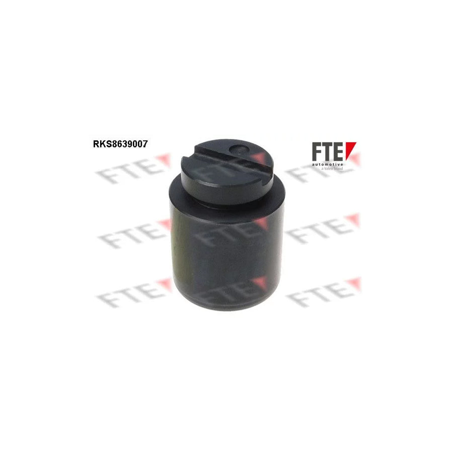 Fte 9313358 Piston, Brake Caliper | ML Performance UK Car Parts