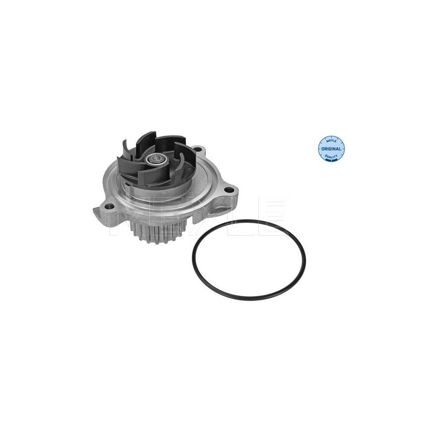 Meyle 113 220 0022 Water Pump For VW Crafter