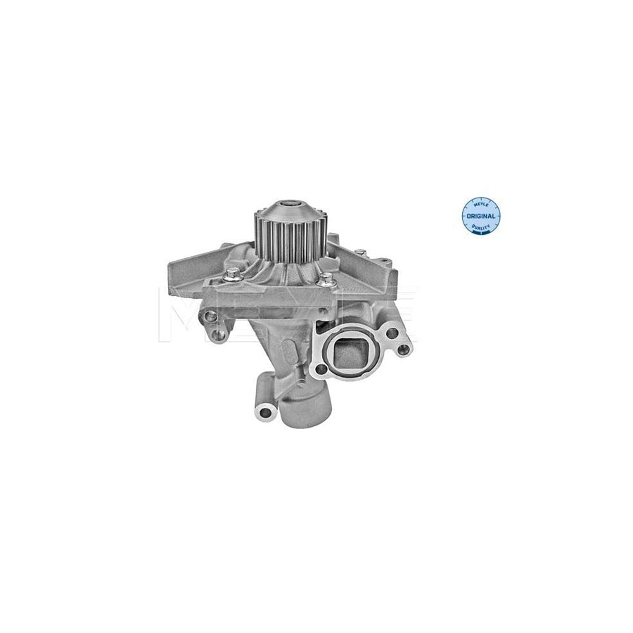 Meyle 11-13 220 0017 Water Pump