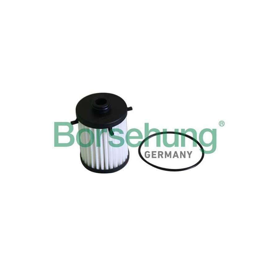 Borsehung B12288 Oil Filter