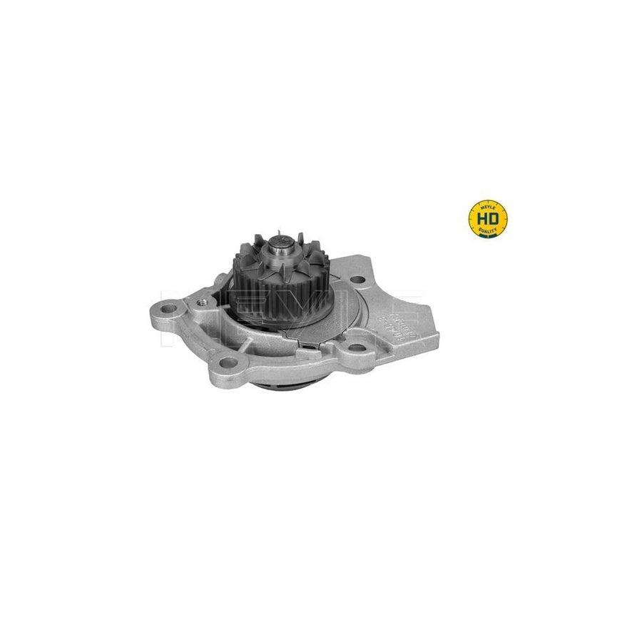 Meyle 113 220 0023/Hd Water Pump