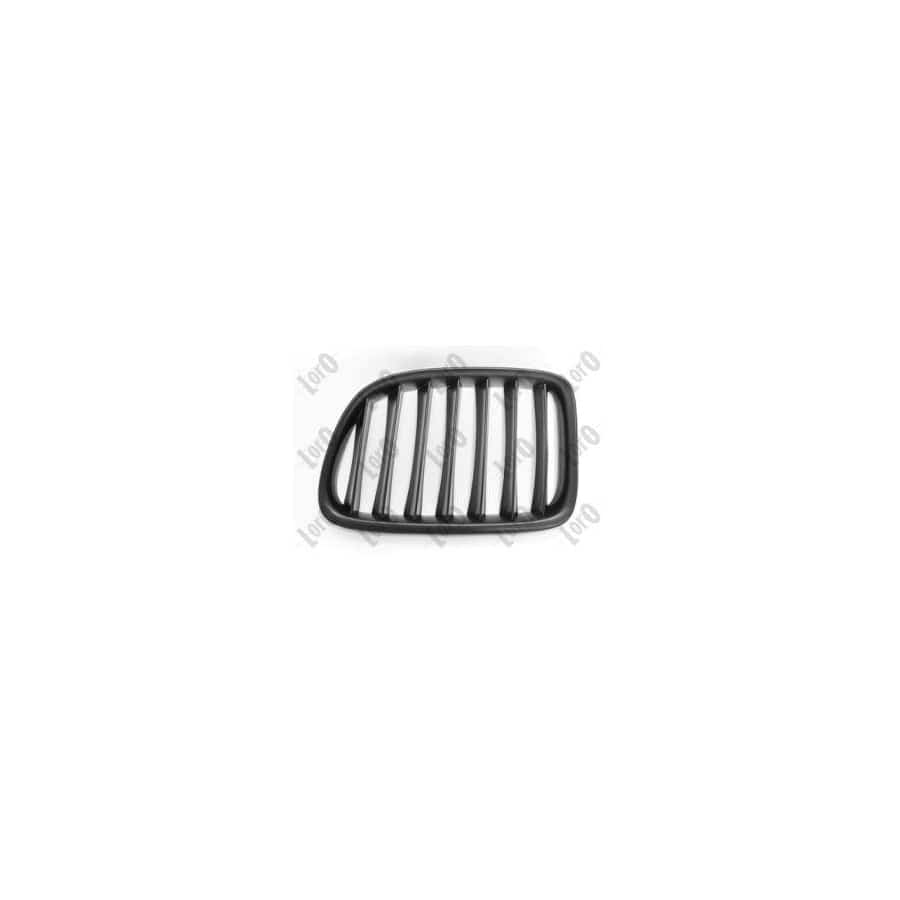 Abakus 00430403 Radiator Grille For Bmw X1 (E84) | ML Performance UK