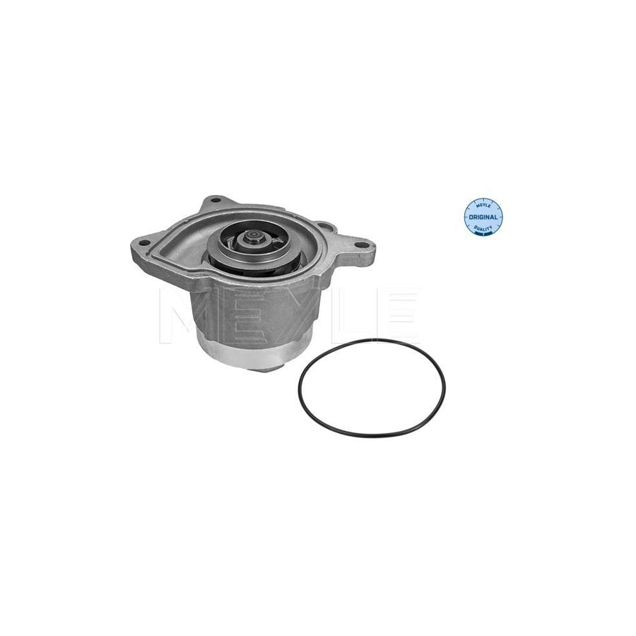 Meyle 113 220 0025 Water Pump