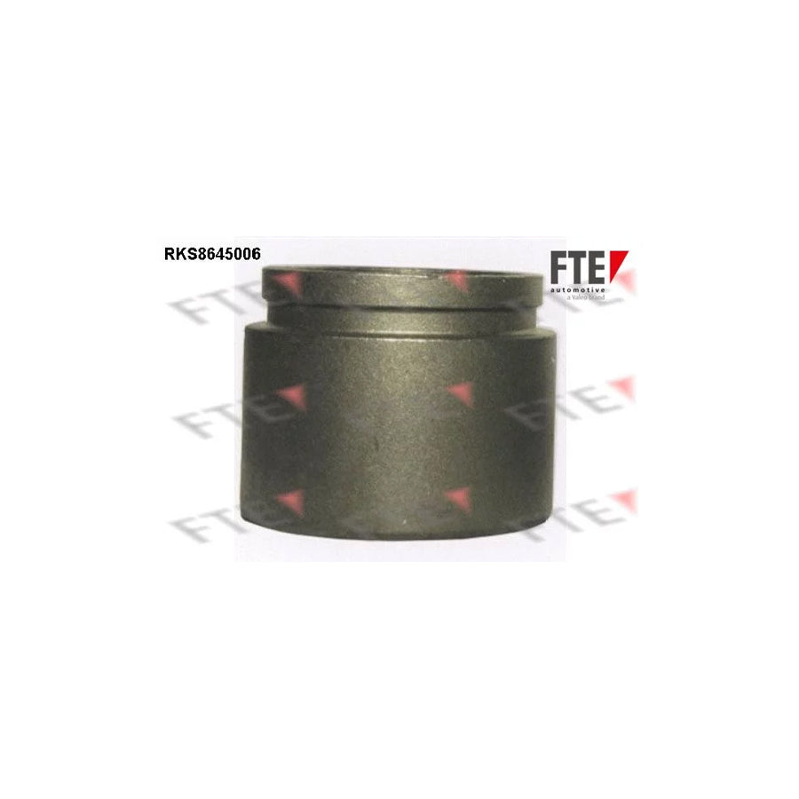 Fte 9313385 Piston, Brake Caliper | ML Performance UK Car Parts