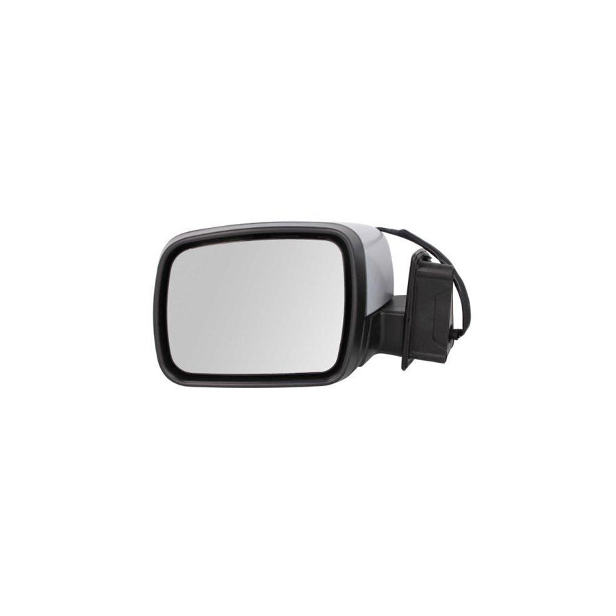 Blic 5402-57-2001627P Wing Mirror