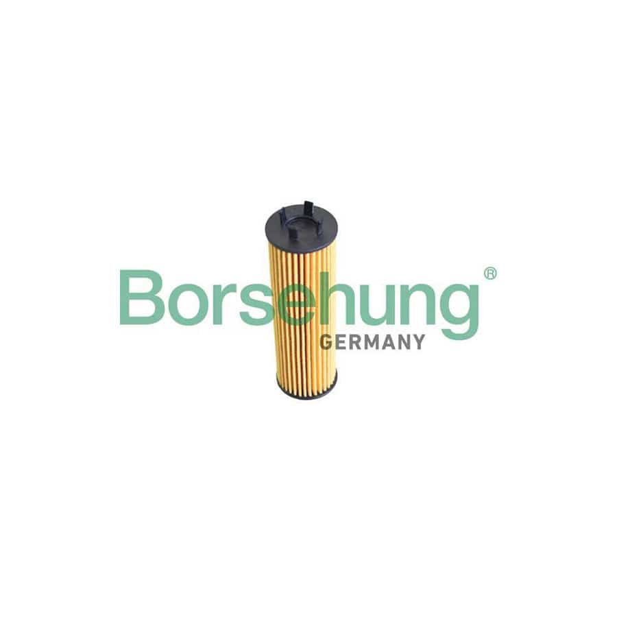 Borsehung B12286 Oil Filter