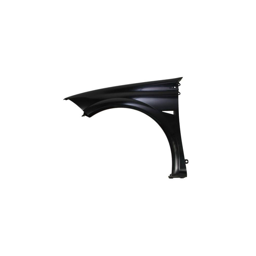 Blic 6504-04-6041311P Wing Fender For Renault Megane