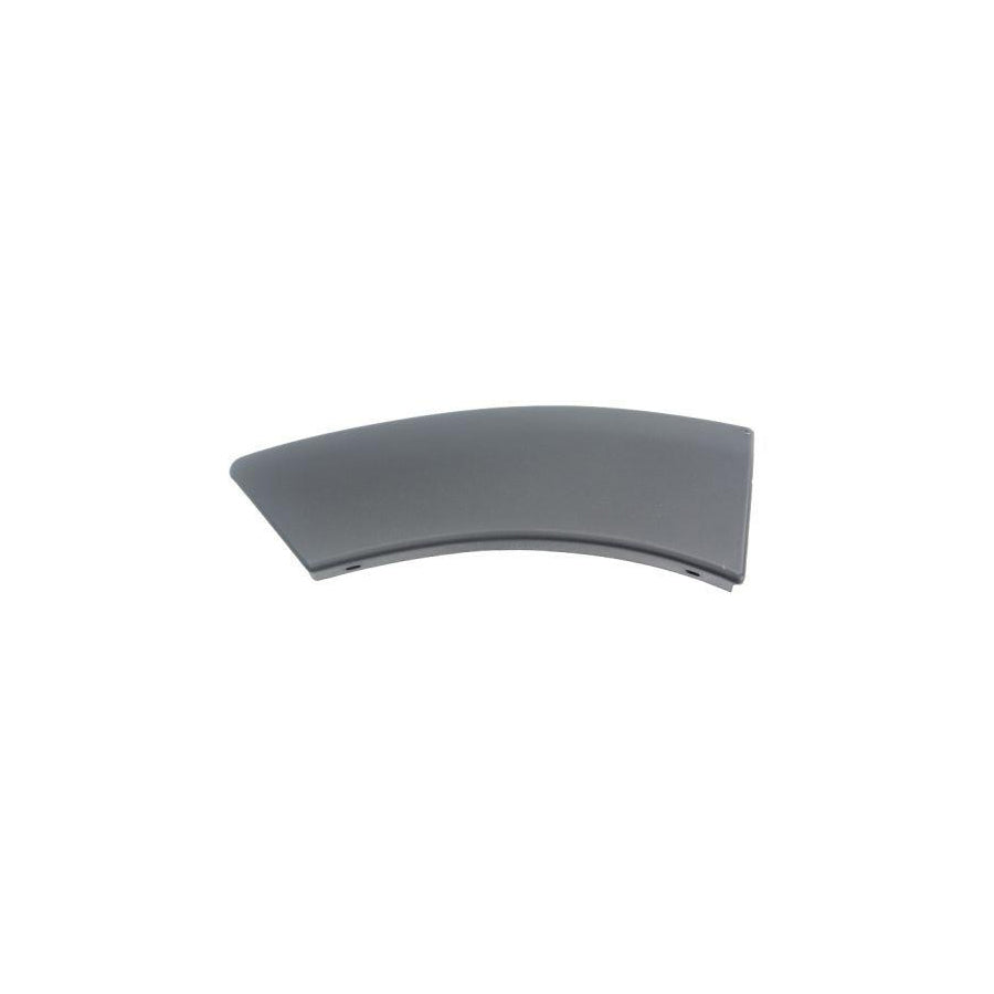 Blic 5703-04-1305598P Trim / Protective Strip, Mudguard