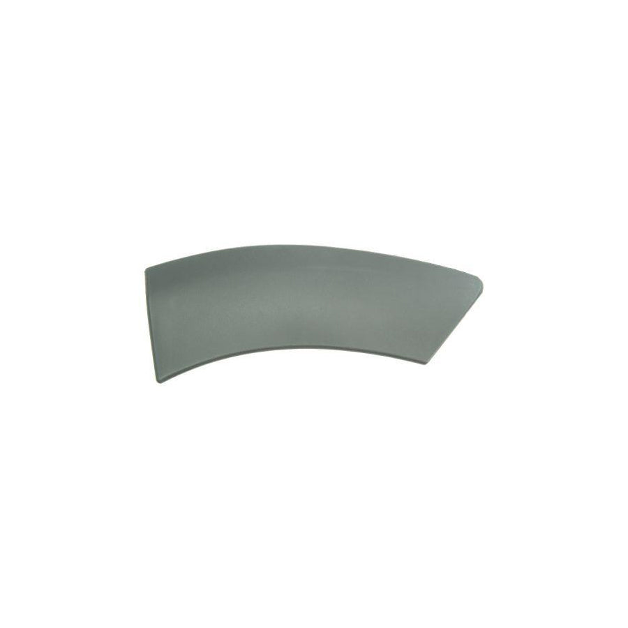 Blic 5703-04-1305597P Trim / Protective Strip, Mudguard