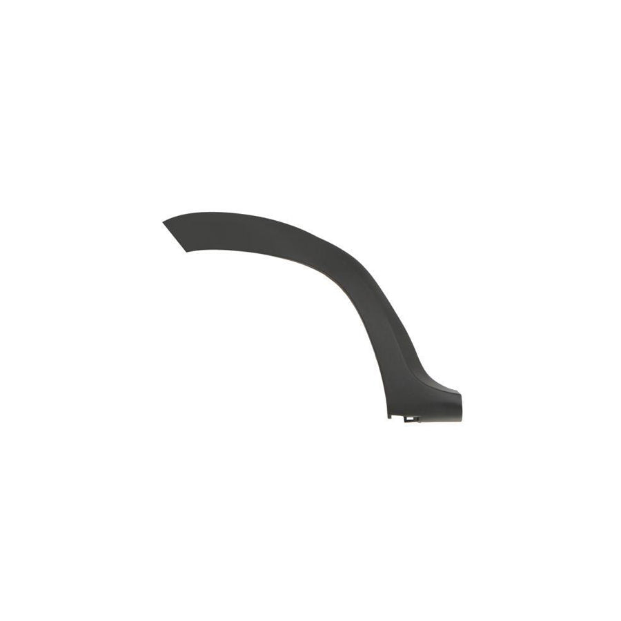 Blic 5703-04-1305596P Trim / Protective Strip, Mudguard