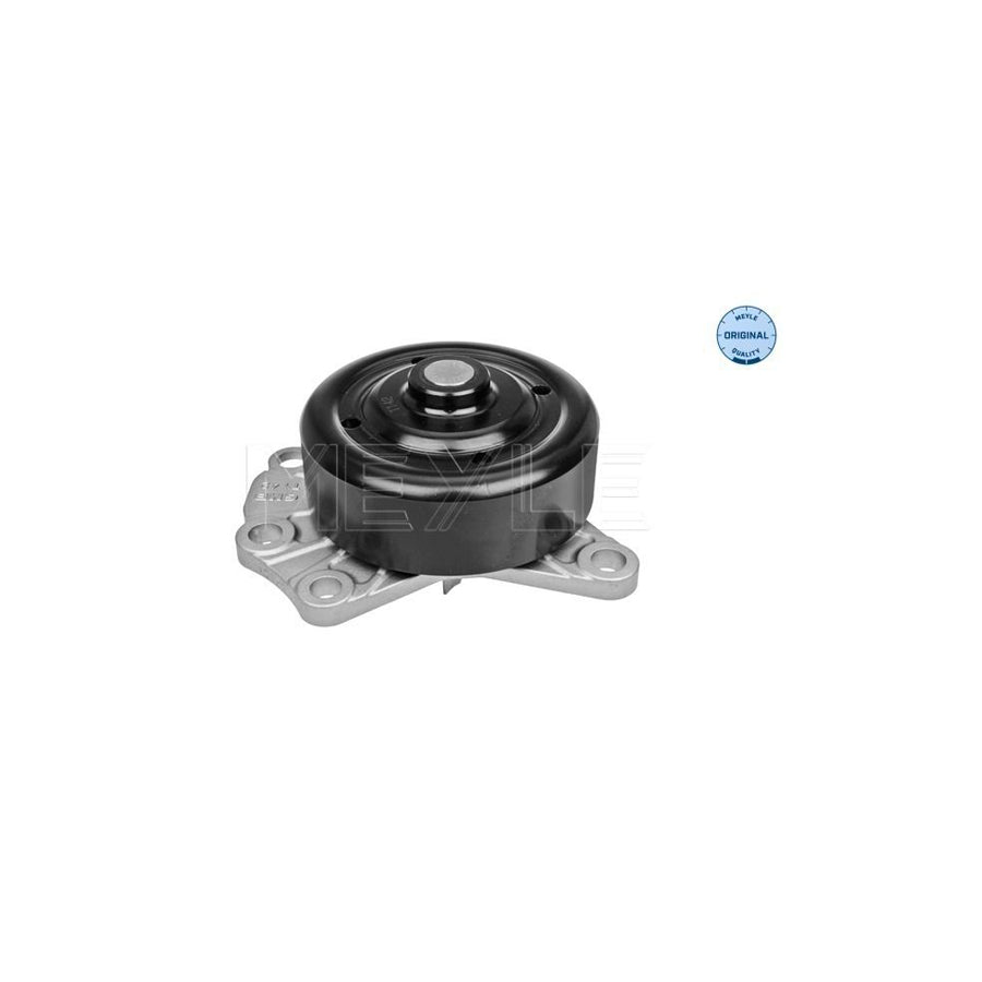 Meyle 11-13 220 0019 Water Pump