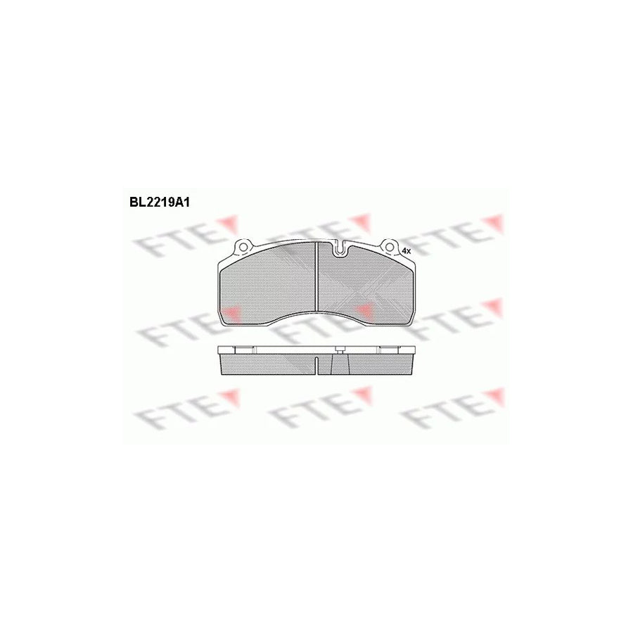 Fte BL2219A1 Brake Pad Set | ML Performance UK Car Parts