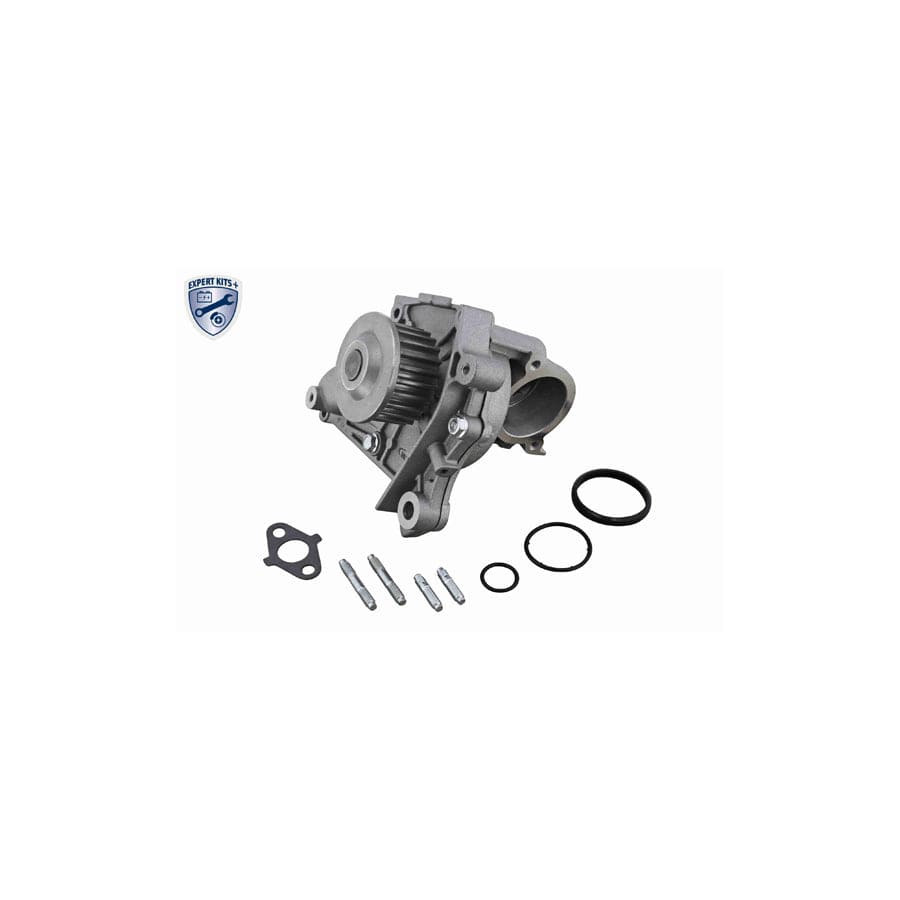 Ackoja A70-50007-1 Water Pump | ML Performance UK