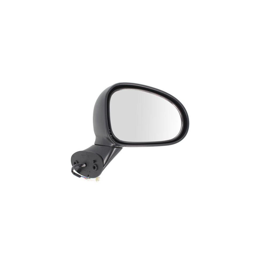 Blic 5402-56-2001076P Wing Mirror