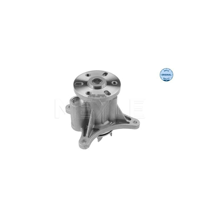 Meyle 11-13 220 0022 Water Pump