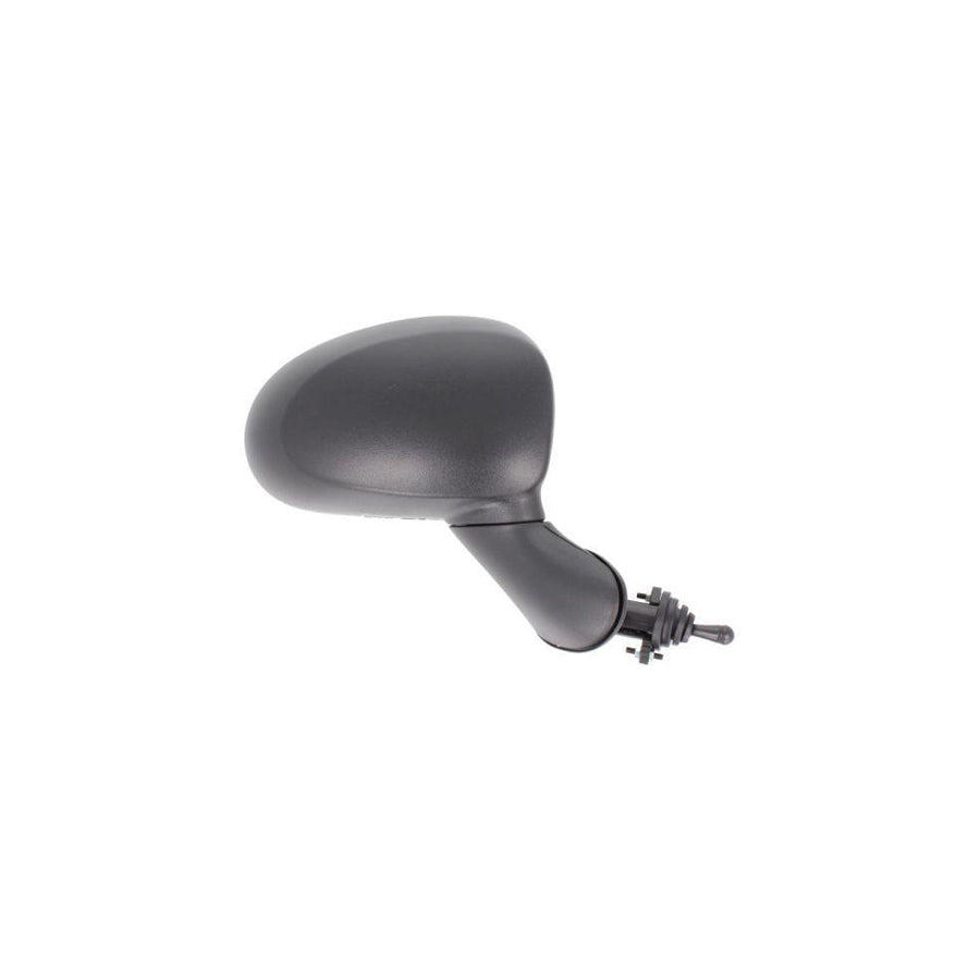 Blic 5402-56-2001074P Wing Mirror