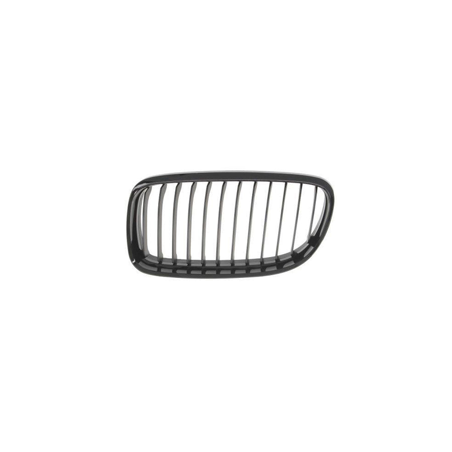 Blic 6502-07-0062991Bp Radiator Grille For BMW 3 Series