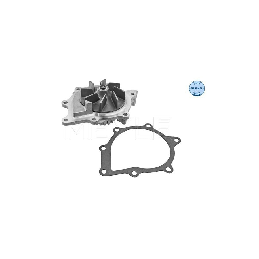 Meyle 11-13 220 0021 Water Pump