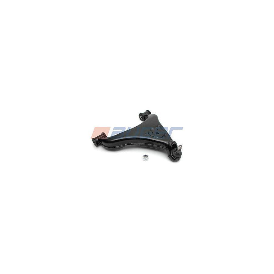 Auger 10796 Suspension Arm