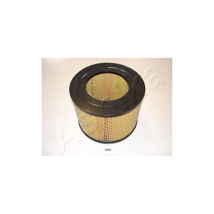 ASHIKA 20-02-234 Air Filter | ML Performance UK Car Parts