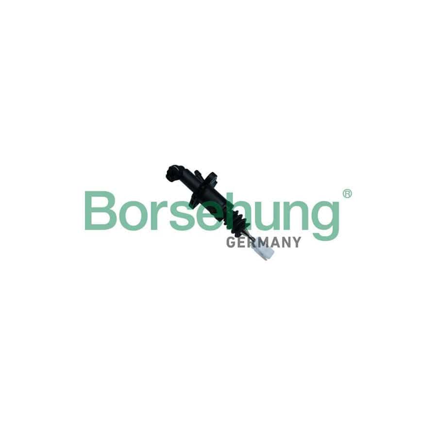 Borsehung B19142 Master Cylinder, Clutch