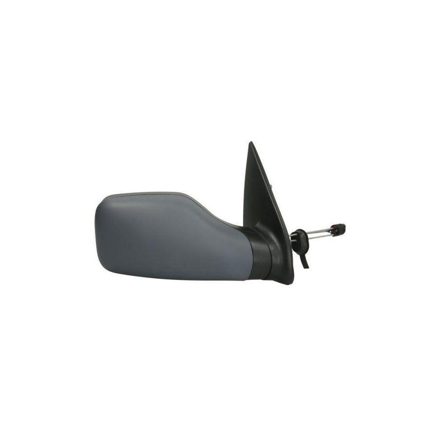 Blic 5402-04-1138281P Wing Mirror For Peugeot 106