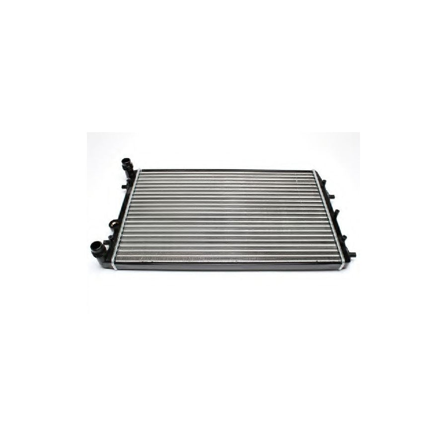 Bugiad BSP20610 Engine Radiator