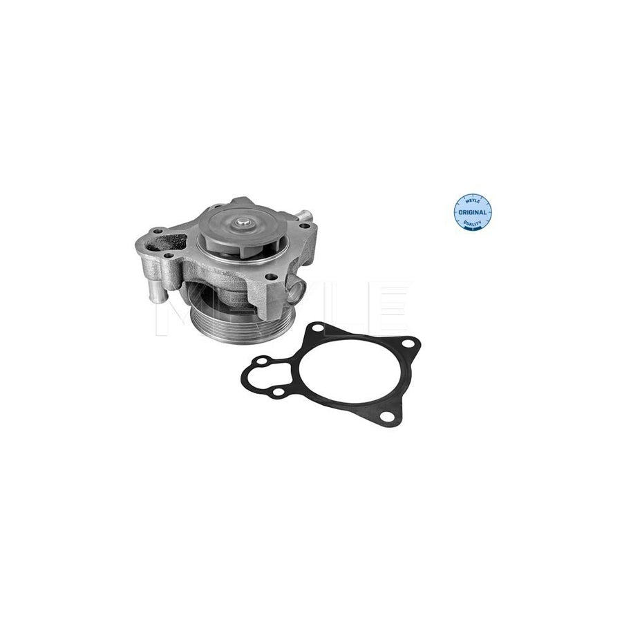 Meyle 11-13 220 0024 Water Pump