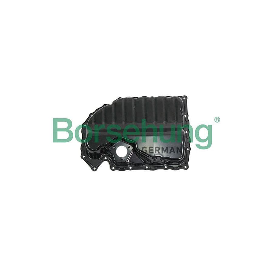 Borsehung B19174 Oil Sump