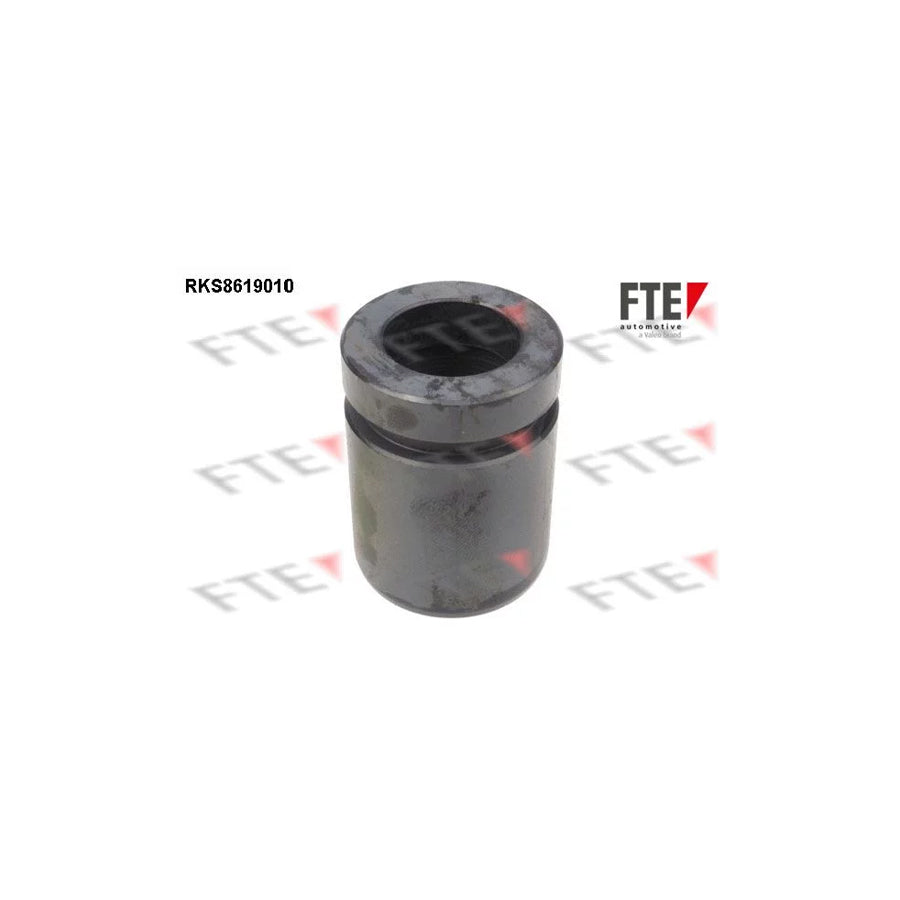 Fte RKS8619010 Piston, Brake Caliper | ML Performance UK Car Parts