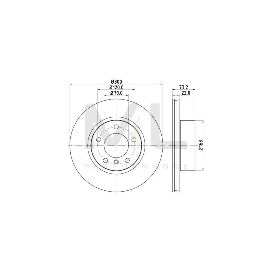 HELLA PRO High Carbon 8DD 355 129-401 Brake Disc Internally Vented, Coated, High-carbon, without wheel hub, without wheel studs | ML Performance Car Parts