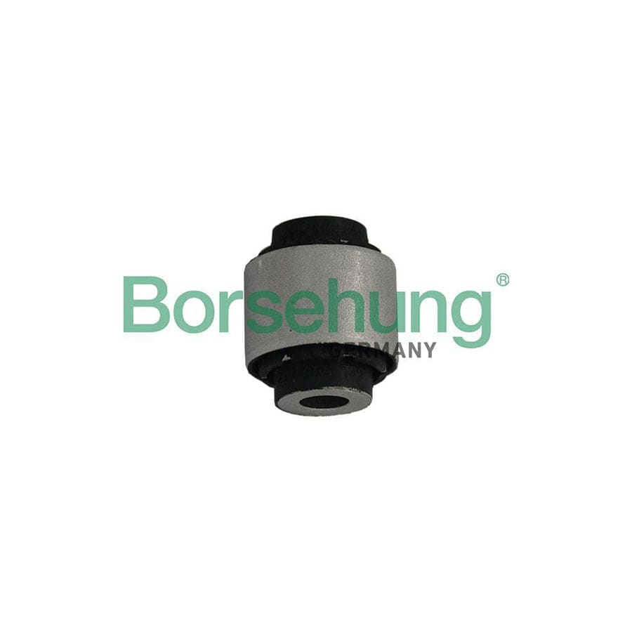 Borsehung B19165 Control Arm- / Trailing Arm Bush