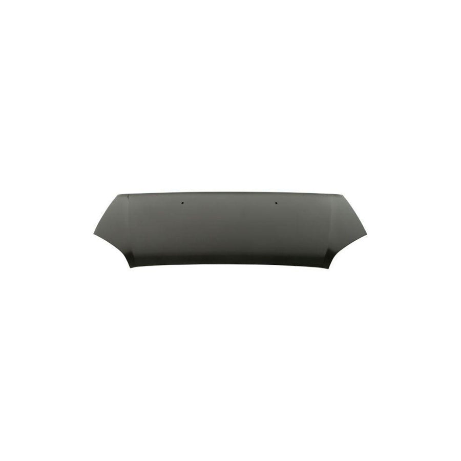 Blic 6803-00-2534280P Bonnet For Ford Focus C-Max (Dm2)