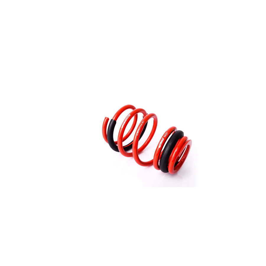 MTS Technik Abarth Fiat Ford Coil Spring - GWFE41HA-01 Spare Parts | ML Performance UK Car Parts