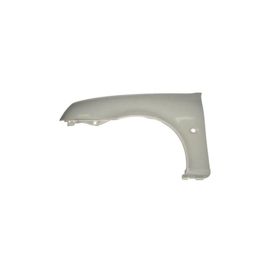 Blic 6504-04-2563313P Wing Fender