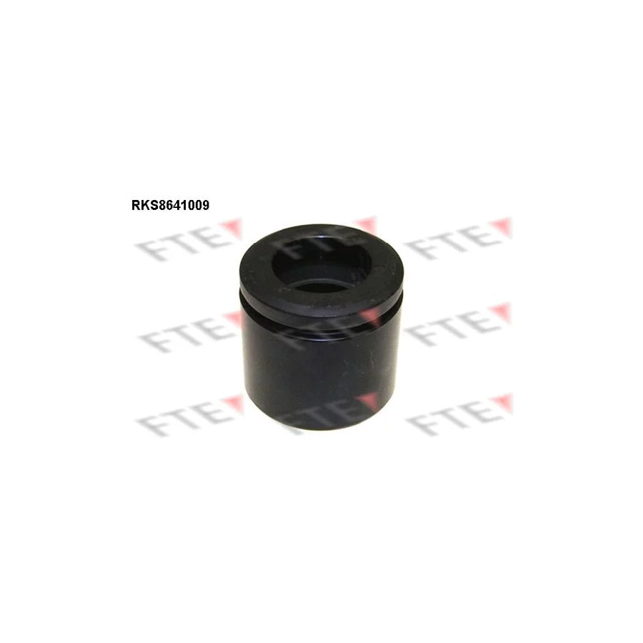 Fte 9313377 Piston, Brake Caliper | ML Performance UK Car Parts