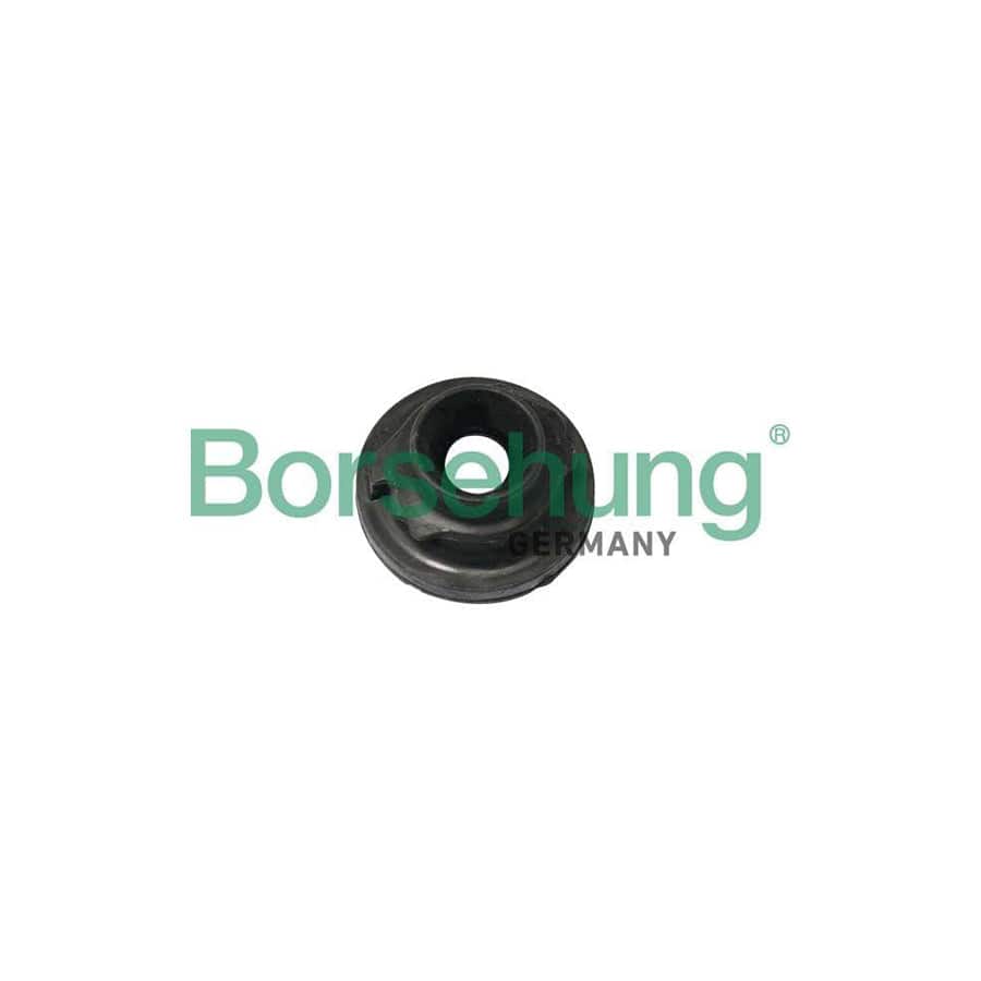 Borsehung B19164 Spring Cap