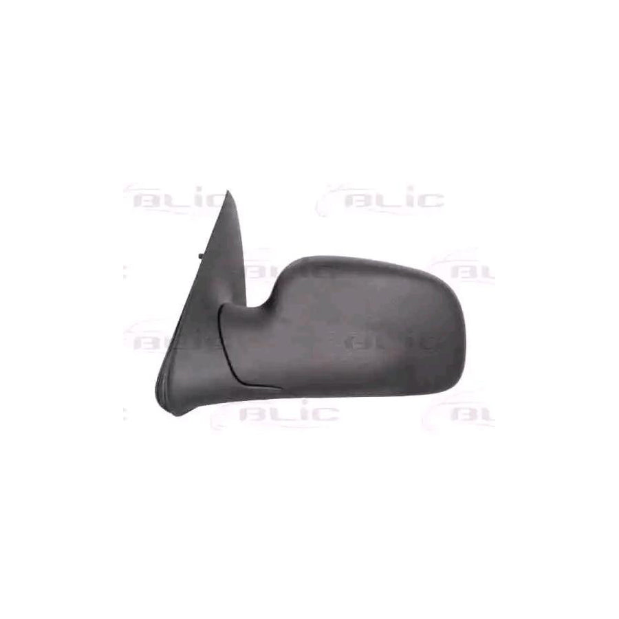 Blic 5402-57-2001637P Wing Mirror For Land Rover Freelander