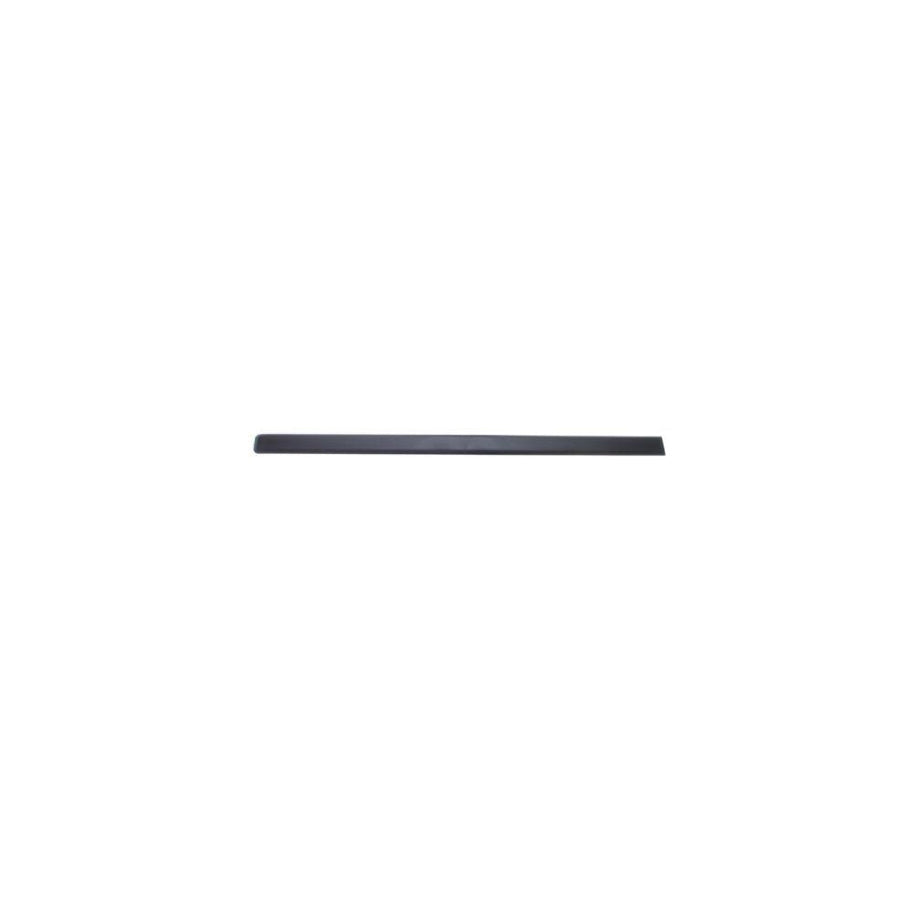 Blic 5703-04-2008571P Door Molding For Fiat Panda II Hatchback (169)