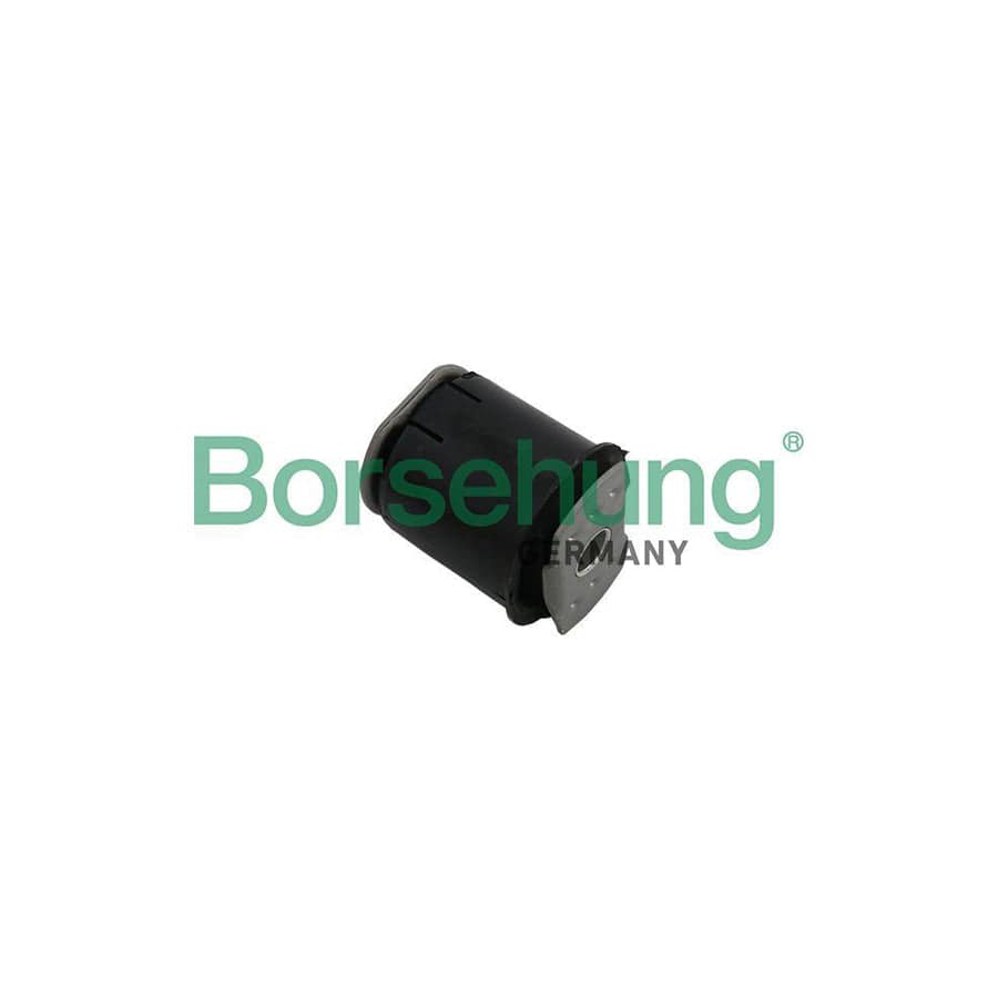 Borsehung B19161 Engine Mount